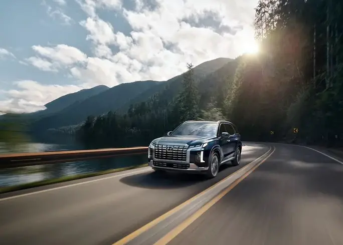 Hyundai Palisade on Fast Road