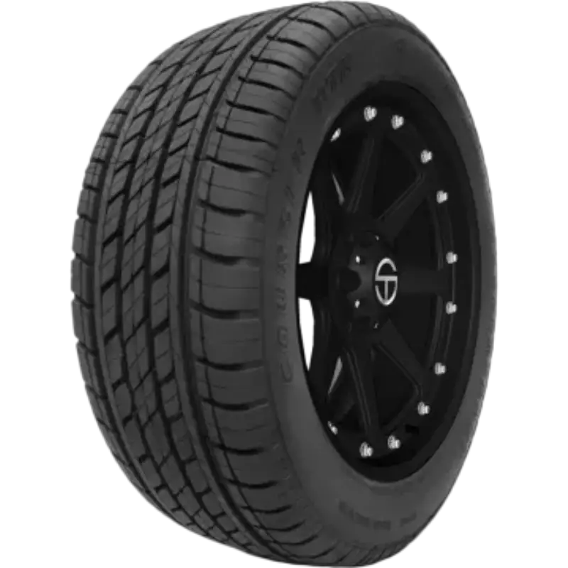 Bridgestone Alenza AS Ultra Best Tires for Honda Odyssey Mastercraft Courser MXT
