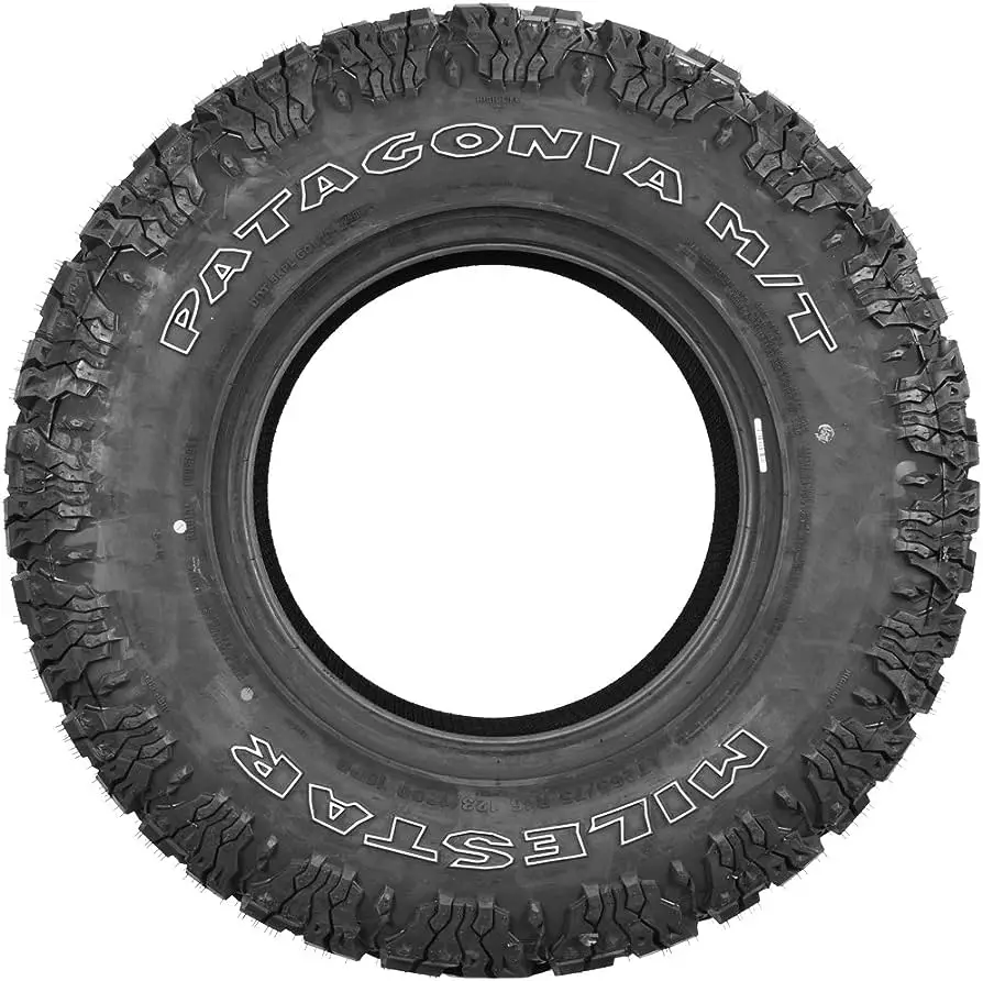 Bridgestone Alenza AS Ultra Best Tires for Honda Odyssey Milestar Patagonia M/T