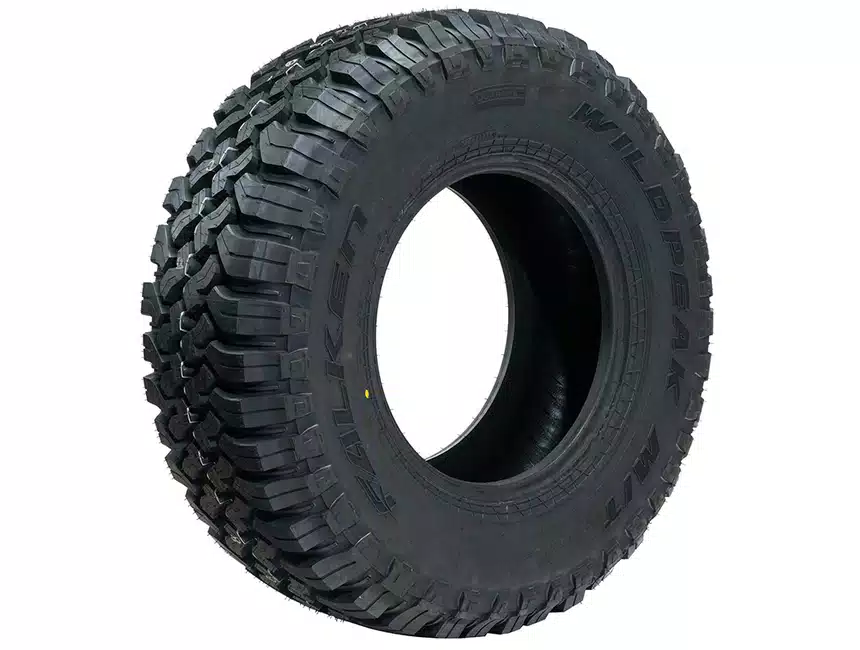 Bridgestone Alenza AS Ultra Best Tires for Honda Odyssey Falken WildPeak M/T