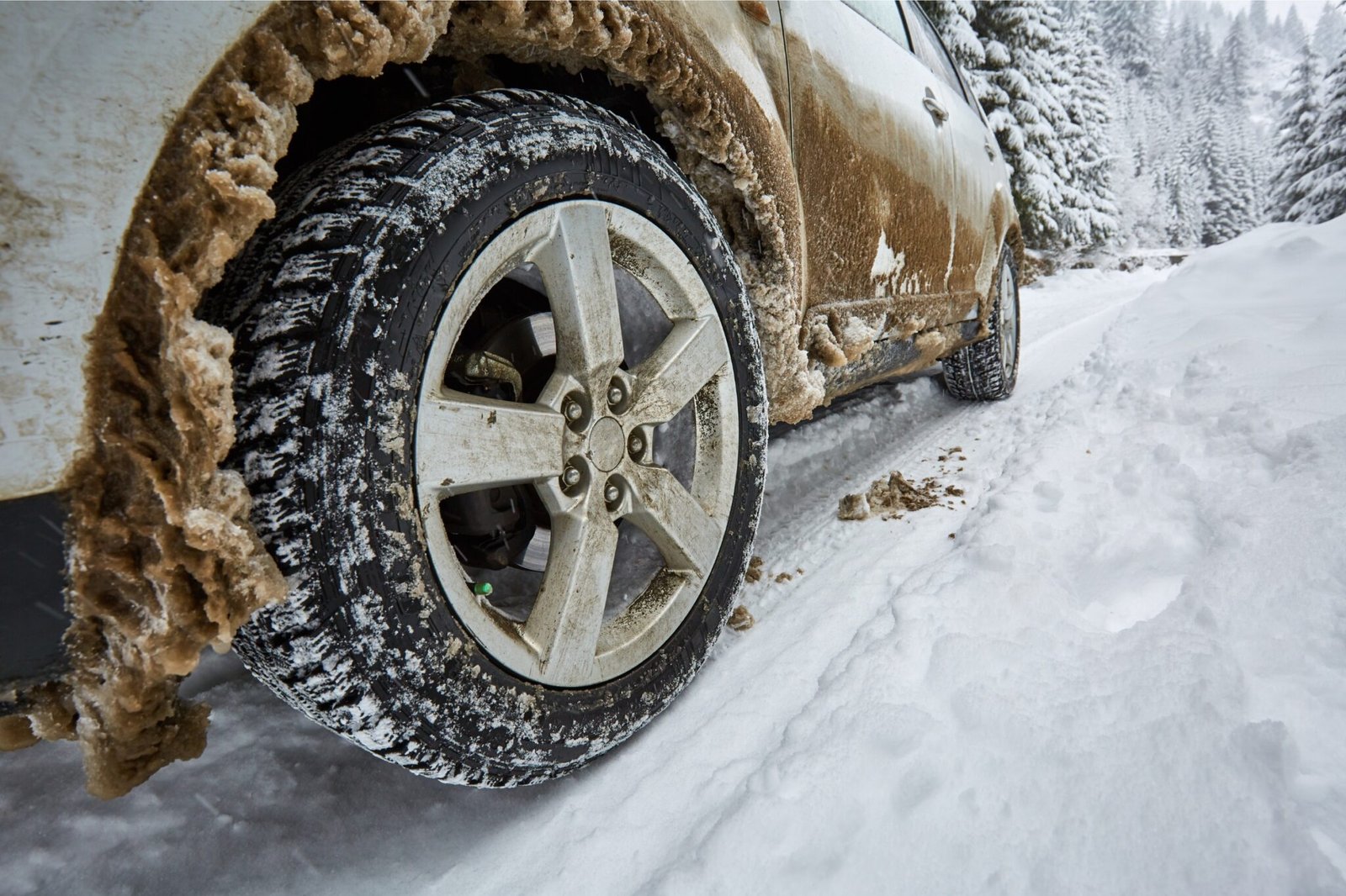 Best at Tires for Vehicle Types and Conditions